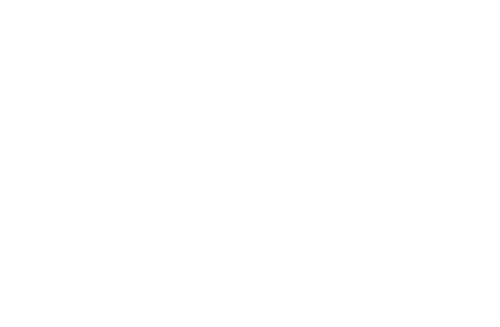 Rogue Fox